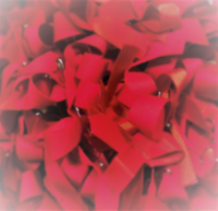 lazos_rojos