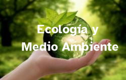 Ecologia y Medio Ambiente