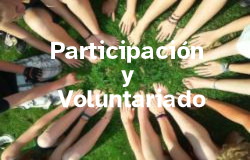 Participación y Voluntariado