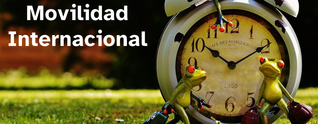 Movilidad-Internacional-1030x402