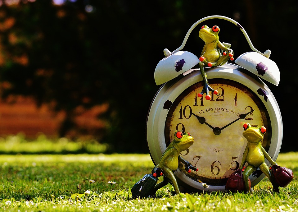 ¡NO PIERDAS EL TIEMPO!