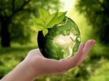 Ecologia y Medio Ambiente