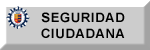 Seguridad Ciudadana