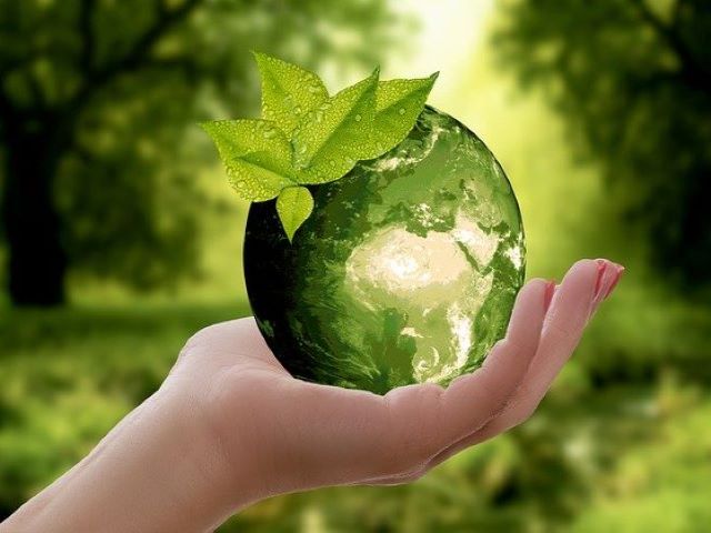 Ecologia y Medio Ambiente